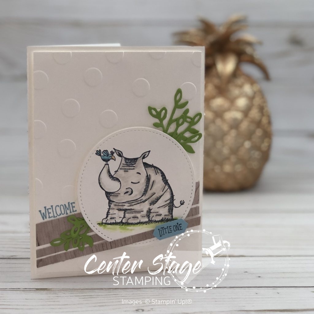 Welcome little one Animal Outing - Center Stage Stamping